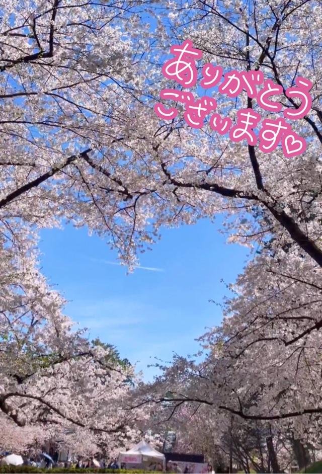 ありがとうございました♡(∩´∀`∩)