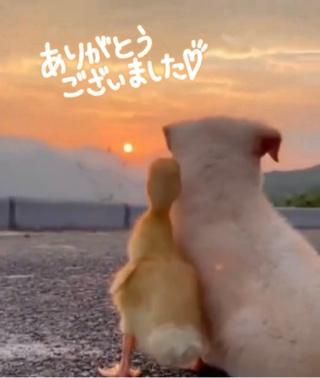 19日(土)のありがとう･･す♡(∩´∀`∩)