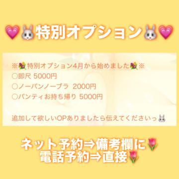 特別オプション<img class="emojione" alt="💗" title=":heartpulse:" src="https://fuzoku.jp/assets/img/emojione/1f497.png"/>
