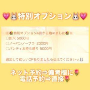 特別オプション<img class="emojione" alt="💗" title=":heartpulse:" src="https://fuzoku.jp/assets/img/emojione/1f497.png"/>