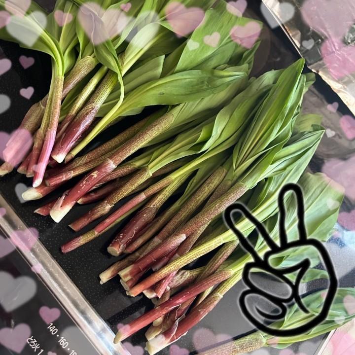 <img class="emojione" alt="✌️" title=":v:" src="https://fuzoku.jp/assets/img/emojione/270c.png"/>出勤<img class="emojione" alt="✌️" title=":v:" src="https://fuzoku.jp/assets/img/emojione/270c.png"/>