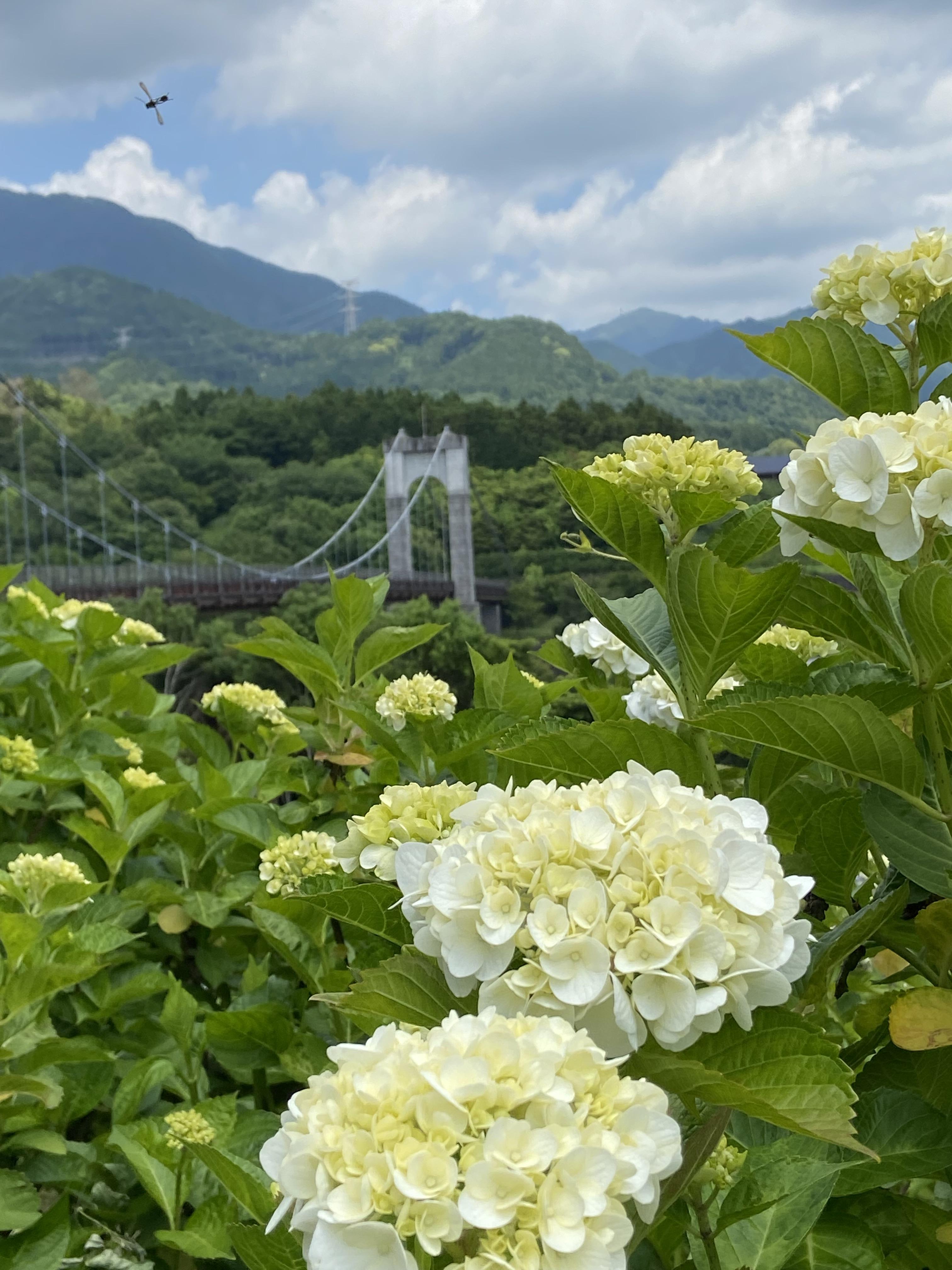 今日のお礼♡