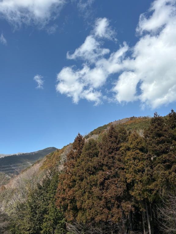 <img class="emojione" alt="🈳" title=":u7a7a:" src="https://fuzoku.jp/assets/img/emojione/1f233.png"/>１４時１５時１６時
