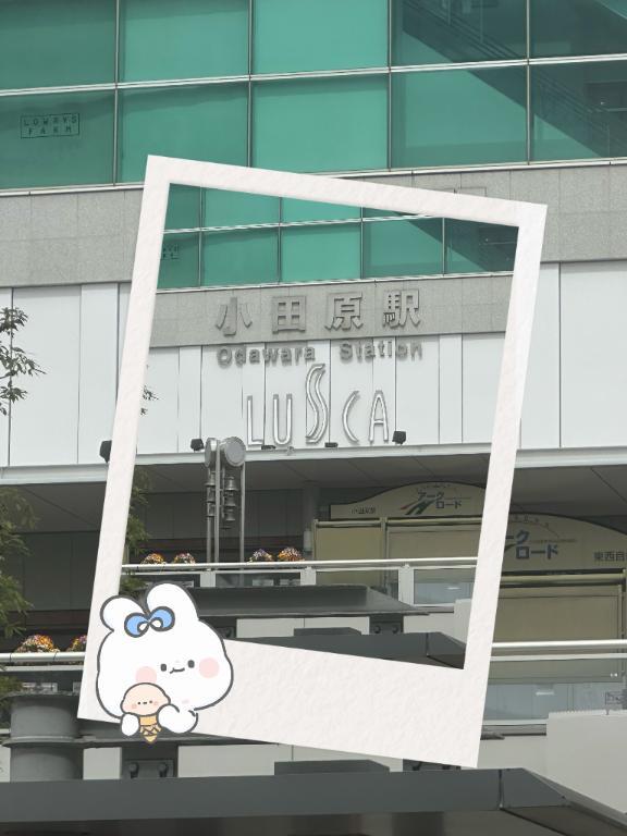 わーい٩(๑❛ᴗ❛๑)۶