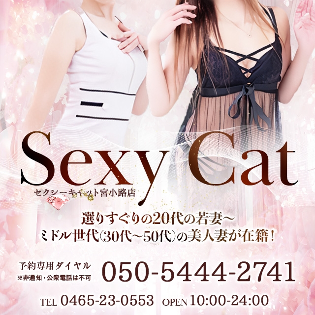 セクシーキャット宮小路店