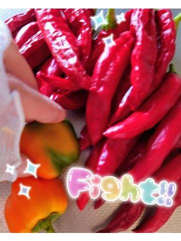 🌶唐辛子🌶