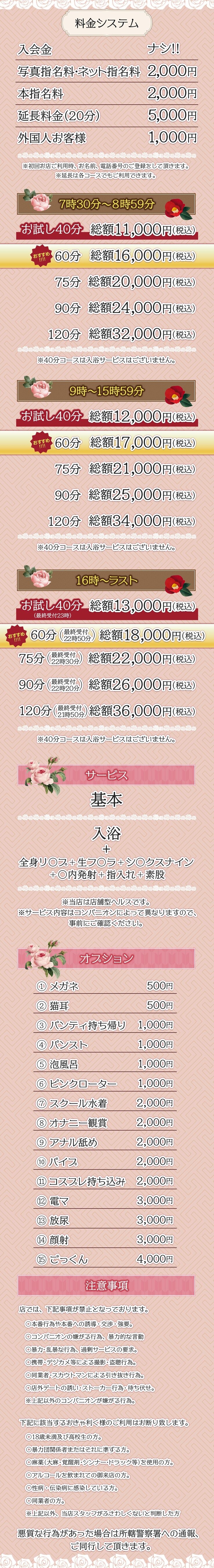 しゃんぜりぜ＿料金システム1