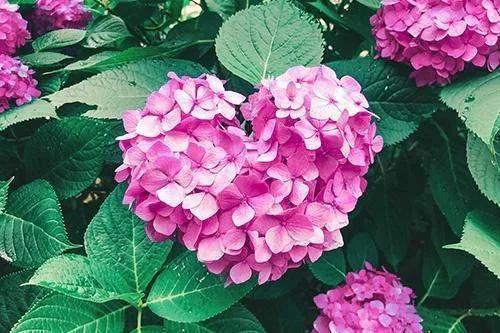 ありがとうございました♡