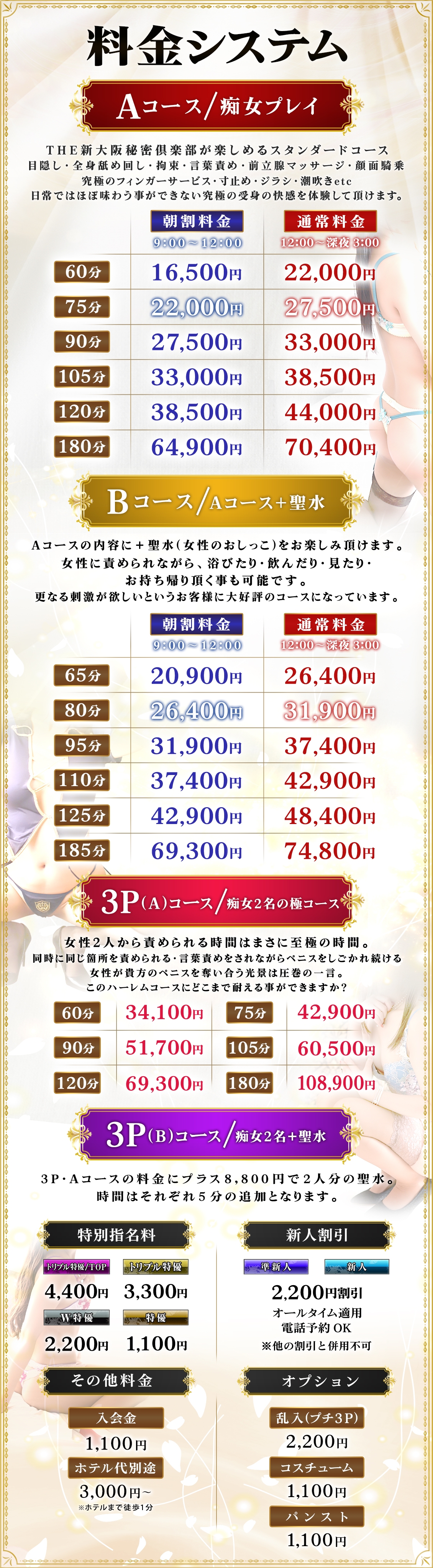 新大阪秘密倶楽部＿料金システム1