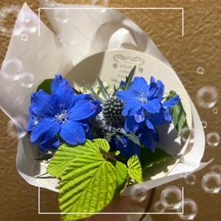 <img class="emojione" alt="💐" title=":bouquet:" src="https://fuzoku.jp/assets/img/emojione/1f490.png"/>