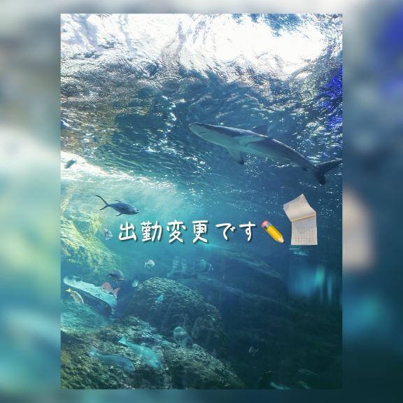 🫧出勤変更<img class="emojione" alt="🦈" title=":shark:" src="https://fuzoku.jp/assets/img/emojione/1f988.png"/>ྀི Ꮺ⸝⸝