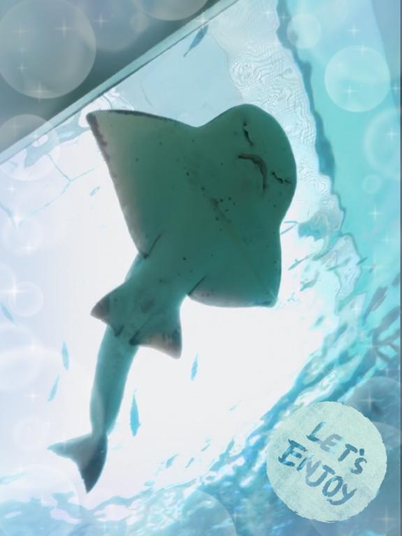 定期訪問時期か&hellip;
