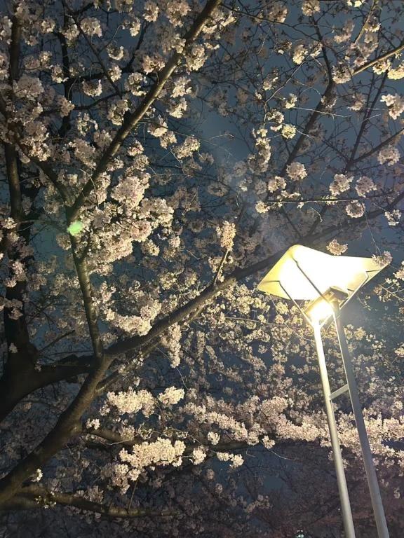 新年度が始まります！