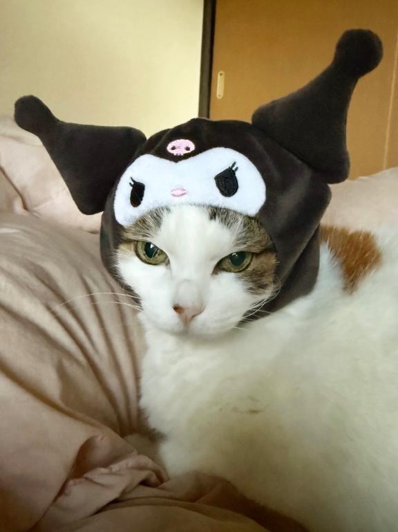 今日