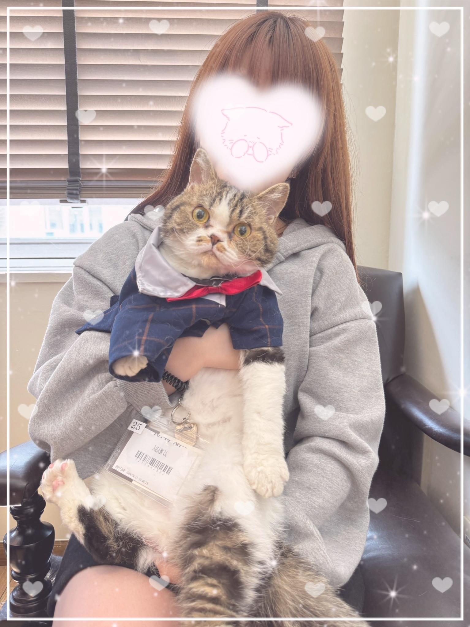 推しの生誕祭<img class="emojione" alt="🐱" title=":cat:" src="https://fuzoku.jp/assets/img/emojione/1f431.png"/>