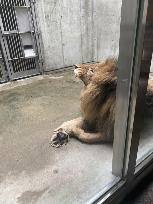 ふみか（エコ天王寺店）