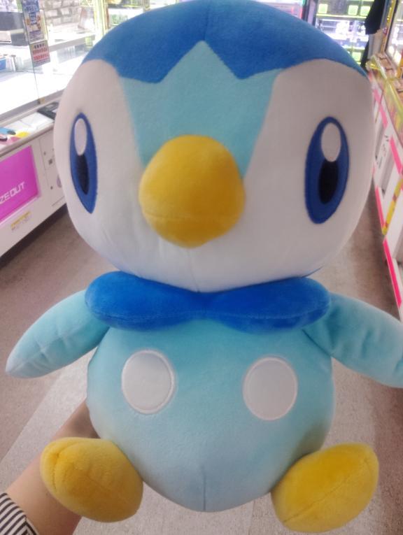 あたらしい仲間🩵