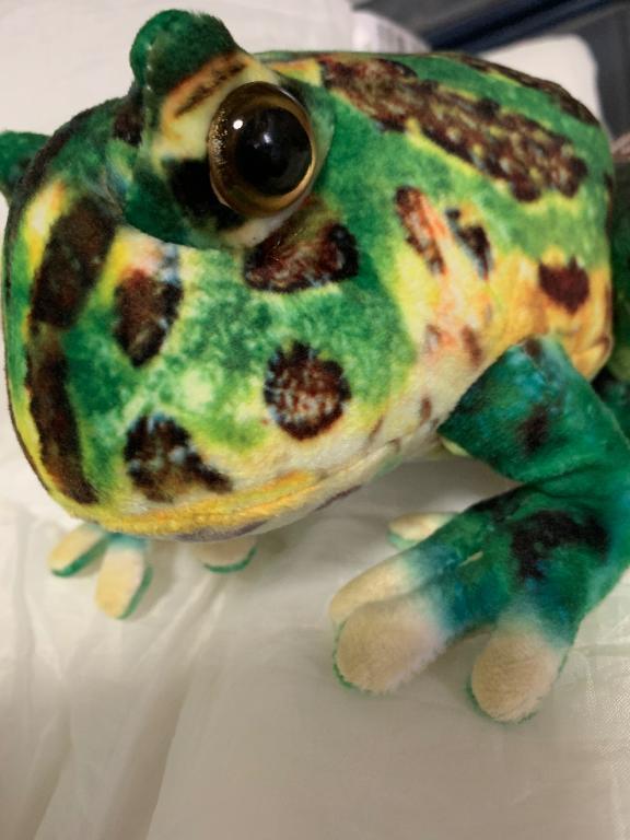 [お題]from:かんたさん