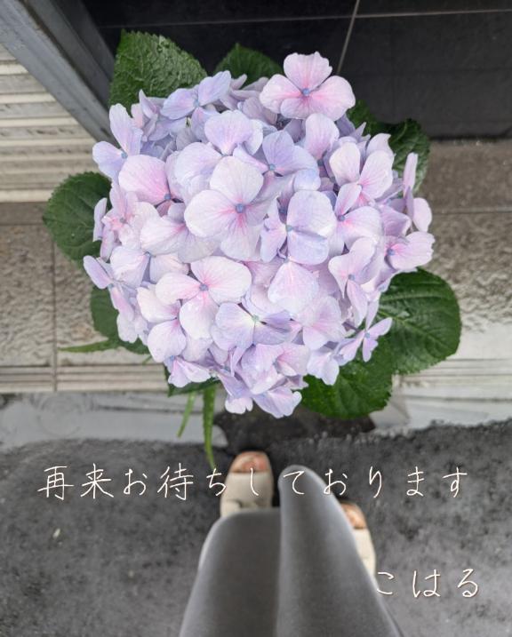 毎度〜<img class="emojione" alt="✨" title=":sparkles:" src="https://fuzoku.jp/assets/img/emojione/2728.png"/><img class="emojione" alt="💖" title=":sparkling_heart:" src="https://fuzoku.jp/assets/img/emojione/1f496.png"/>