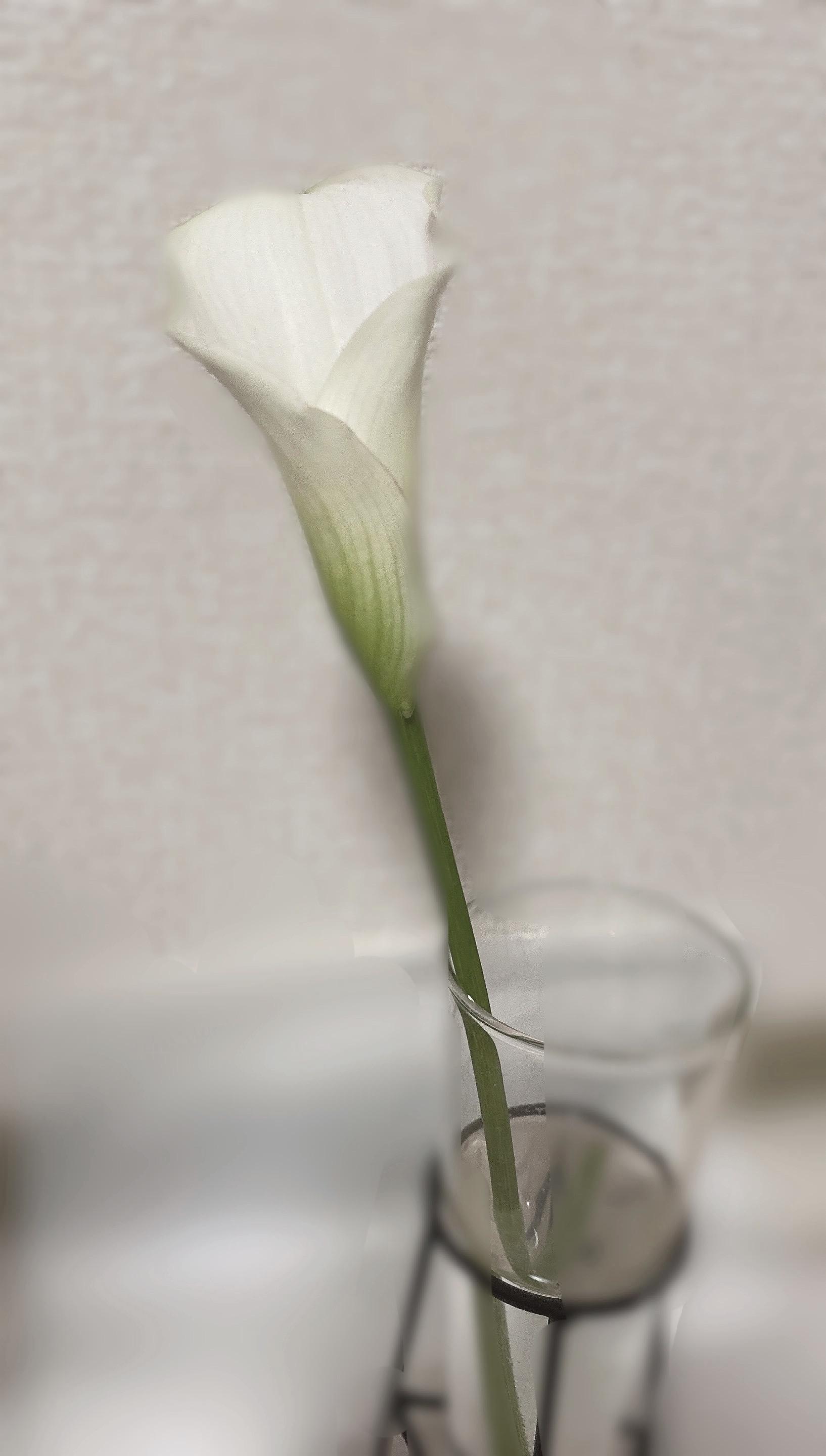 ありがとうございました<img class="emojione" alt="🌷" title=":tulip:" src="https://fuzoku.jp/assets/img/emojione/1f337.png"/>