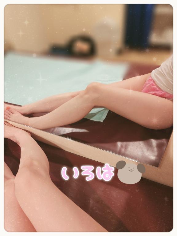 本日出勤です！