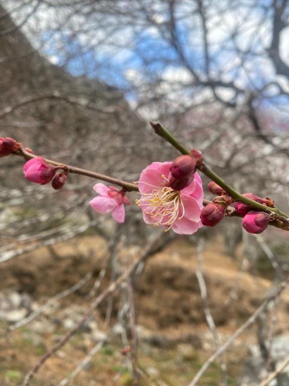 明日出勤いたします♡