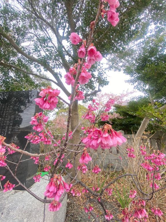 明日出勤いたします♡