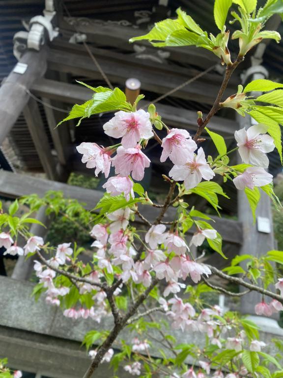 明日出勤いたします♡
