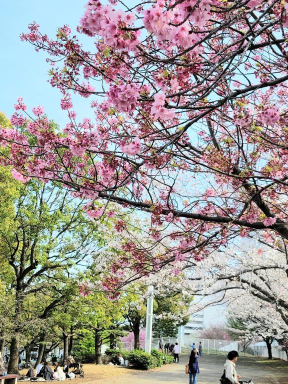 ピクニック<img class="emojione" alt="🌸" title=":cherry_blossom:" src="https://fuzoku.jp/assets/img/emojione/1f338.png"/>