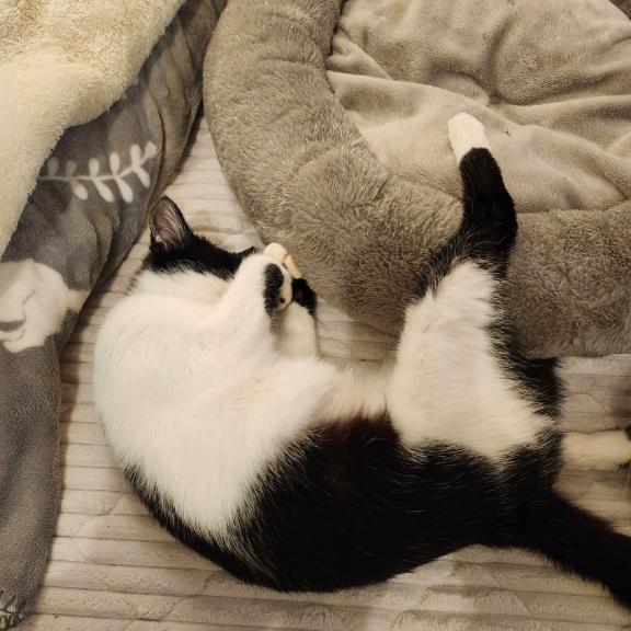 苦しい胸の内❤