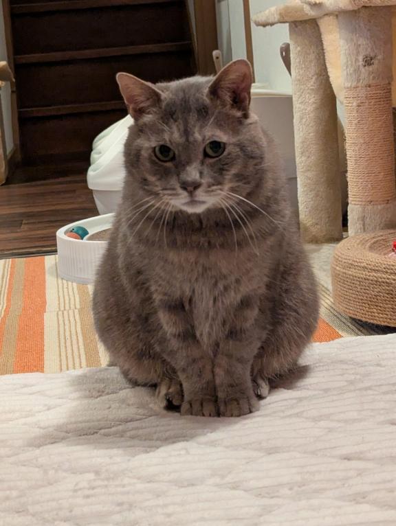 おんちゃんのポテンシャル<img class="emojione" alt="❤️" title=":heart:" src="https://fuzoku.jp/assets/img/emojione/2764.png"/>