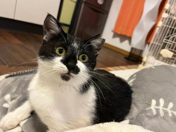 もしそうだとしたら⋯❤