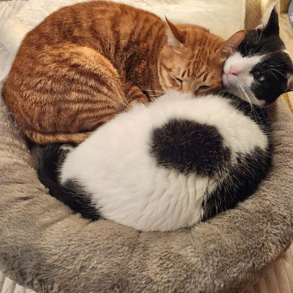 [お題]from:ナツメロばっかさん