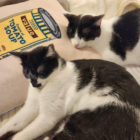 いよいよやってきた⋯❤