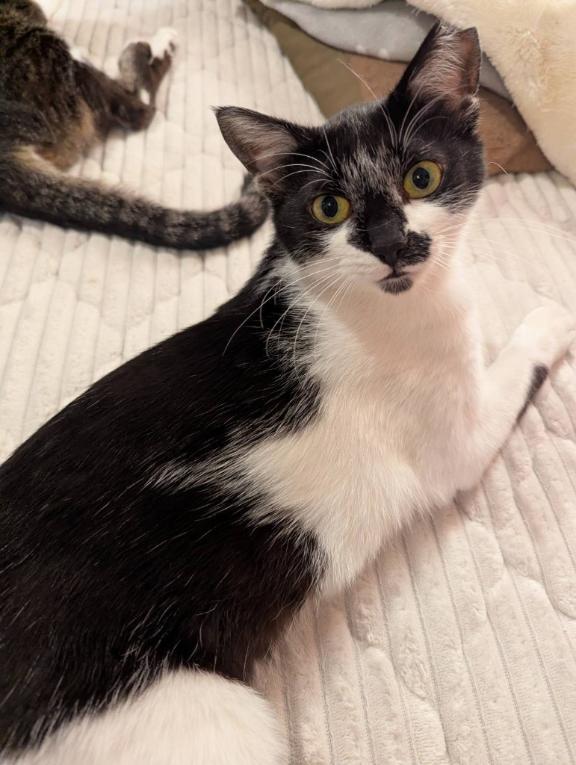 じぃちゃんばぁちゃんの仲間入り❤