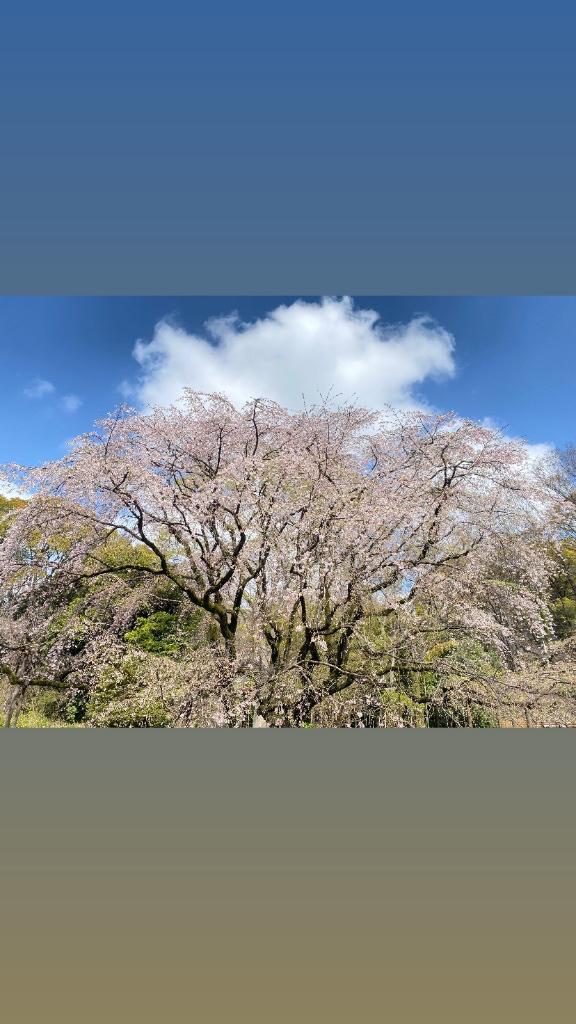 明日まだ空き御座います♡