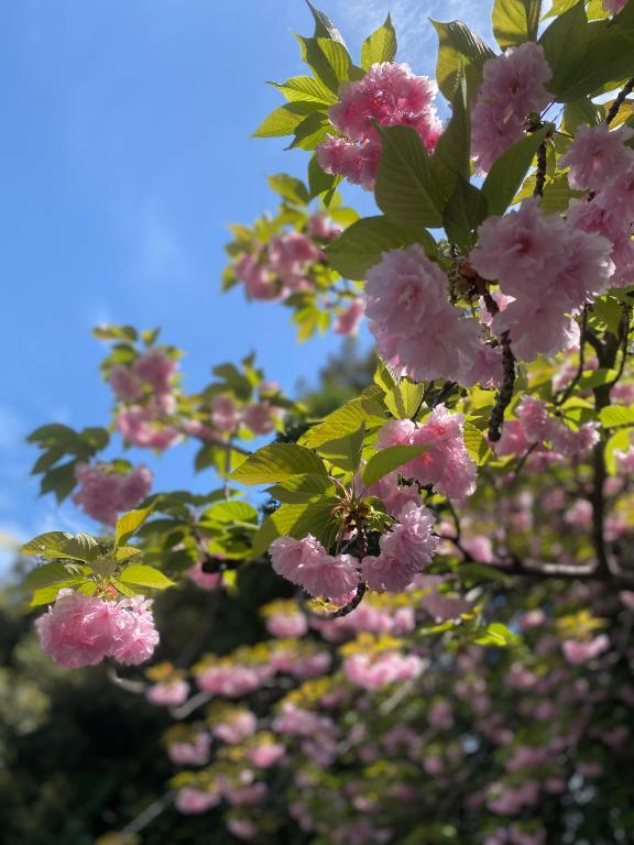 明日出勤いたします♡