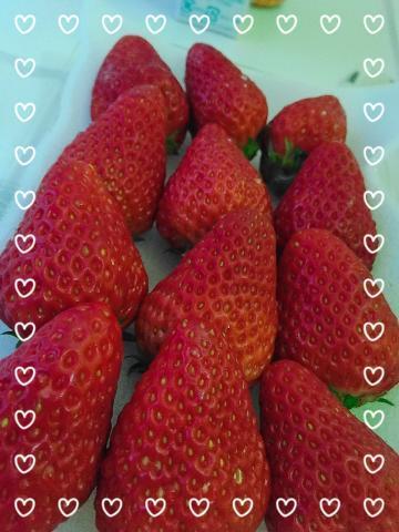 癒しタイム<img class="emojione" alt="🍓" title=":strawberry:" src="https://fuzoku.jp/assets/img/emojione/1f353.png"/>