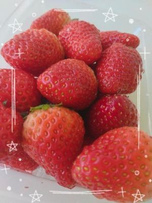 イチゴ<img class="emojione" alt="🍓" title=":strawberry:" src="https://fuzoku.jp/assets/img/emojione/1f353.png"/>