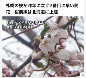 開花<img class="emojione" alt="🌸" title=":cherry_blossom:" src="https://fuzoku.jp/assets/img/emojione/1f338.png"/>