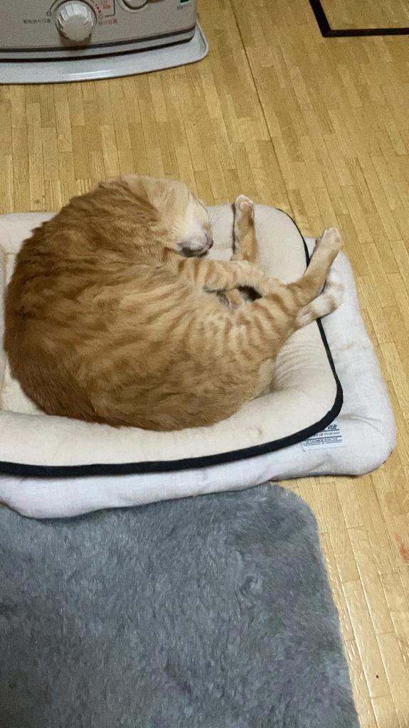 お久しぶりです