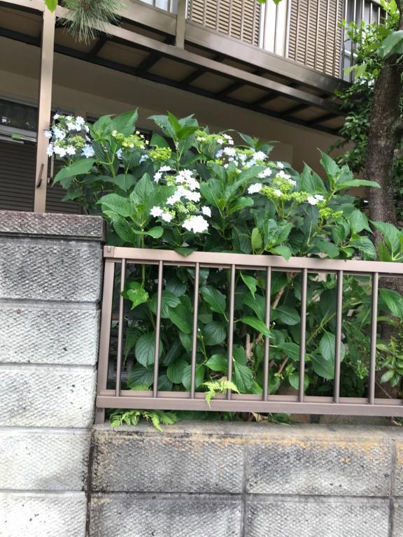 ありがとうございました<img class="emojione" alt="😊" title=":blush:" src="https://fuzoku.jp/assets/img/emojione/1f60a.png"/>