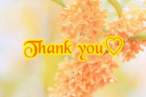 <img class="emojione" alt="💌" title=":love_letter:" src="https://fuzoku.jp/assets/img/emojione/1f48c.png"/>お礼<img class="emojione" alt="💌" title=":love_letter:" src="https://fuzoku.jp/assets/img/emojione/1f48c.png"/>