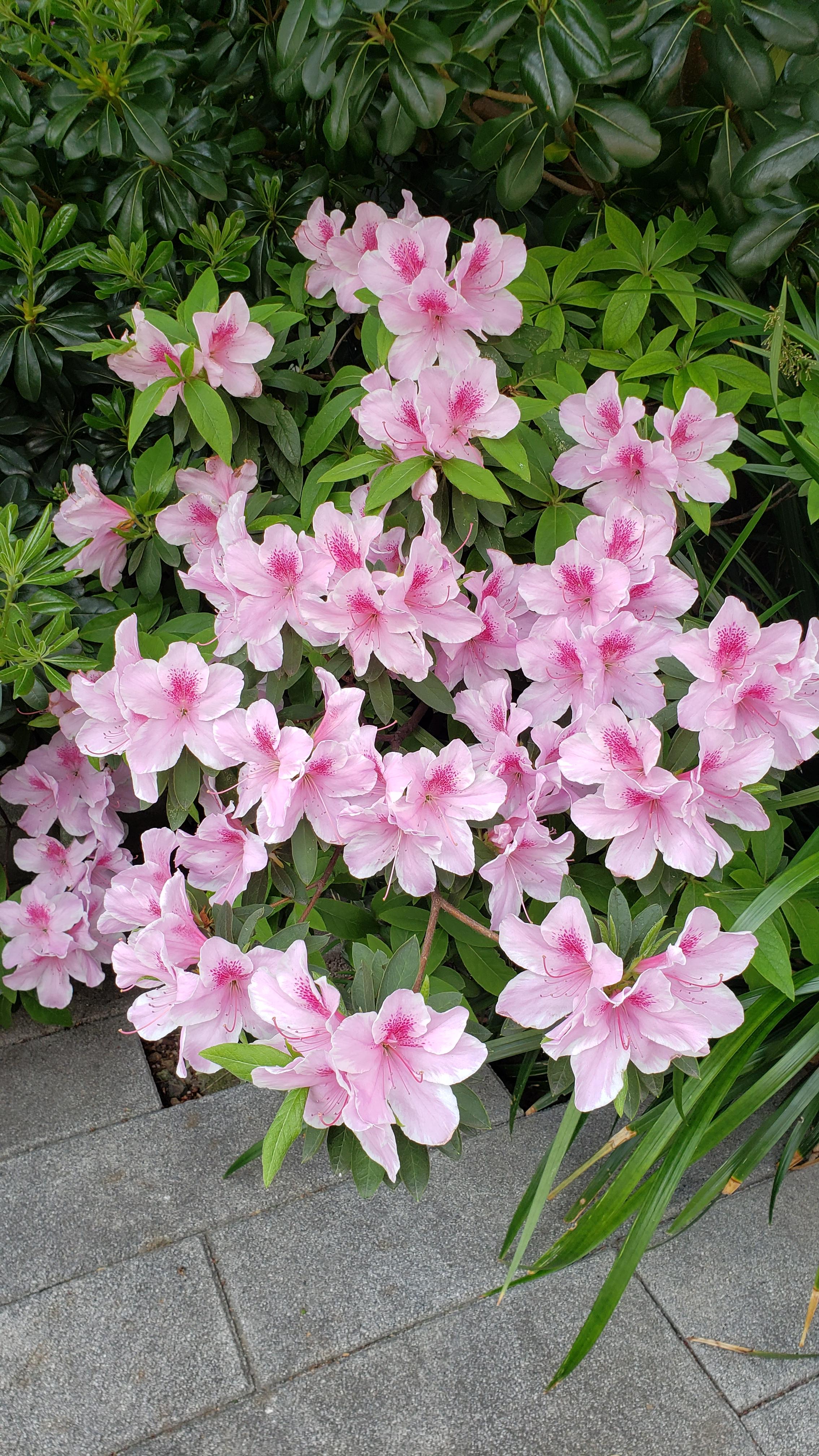 【ちなつ】です<img class="emojione" alt="😄" title=":smile:" src="https://fuzoku.jp/assets/img/emojione/1f604.png"/><img class="emojione" alt="🌼" title=":blossom:" src="https://fuzoku.jp/assets/img/emojione/1f33c.png"/><img class="emojione" alt="✨" title=":sparkles:" src="https://fuzoku.jp/assets/img/emojione/2728.png"/>