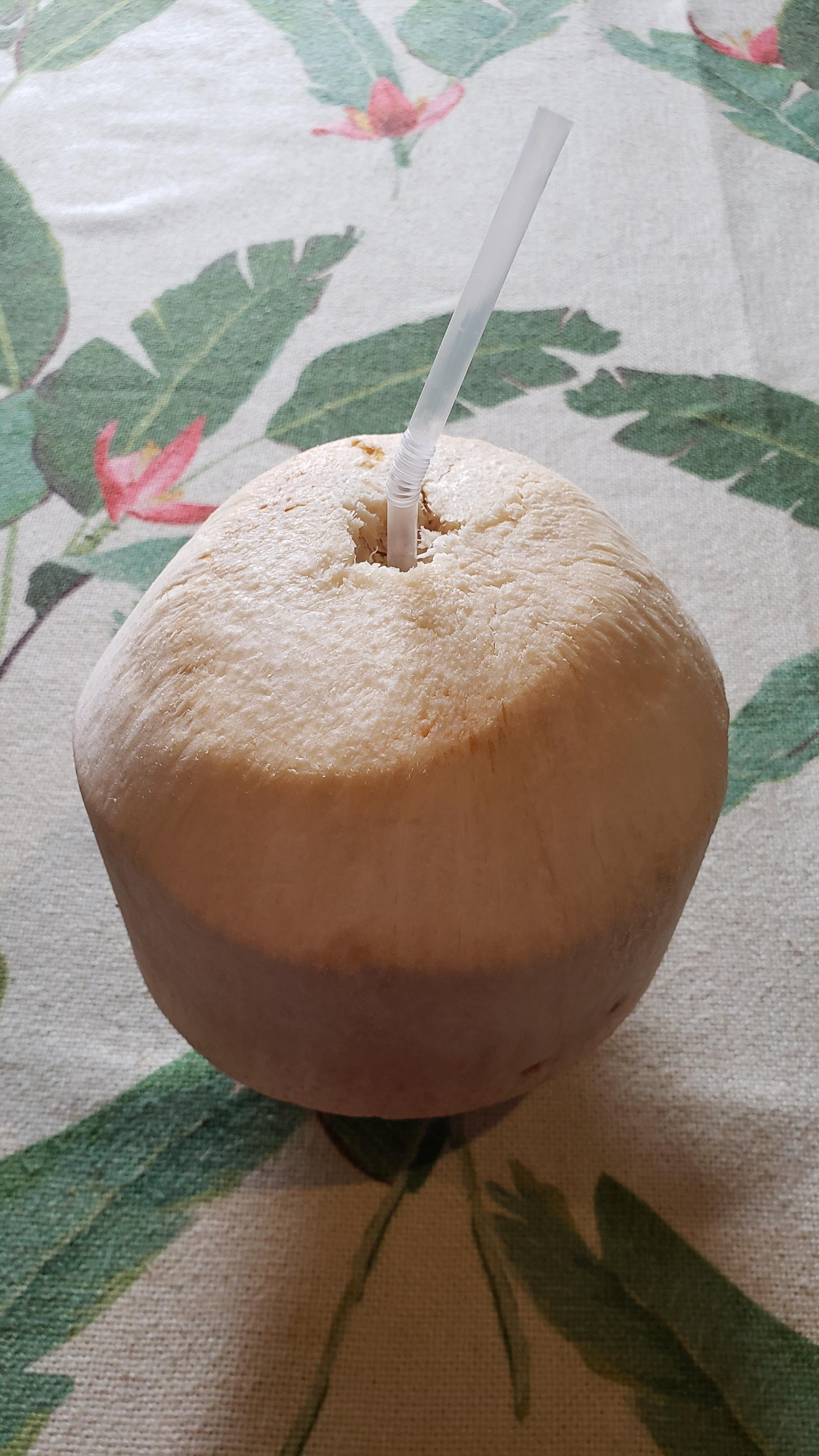 【ちなつ飲み物編】<img class="emojione" alt="😄" title=":smile:" src="https://fuzoku.jp/assets/img/emojione/1f604.png"/><img class="emojione" alt="🥥" title=":coconut:" src="https://fuzoku.jp/assets/img/emojione/1f965.png"/><img class="emojione" alt="✨" title=":sparkles:" src="https://fuzoku.jp/assets/img/emojione/2728.png"/>