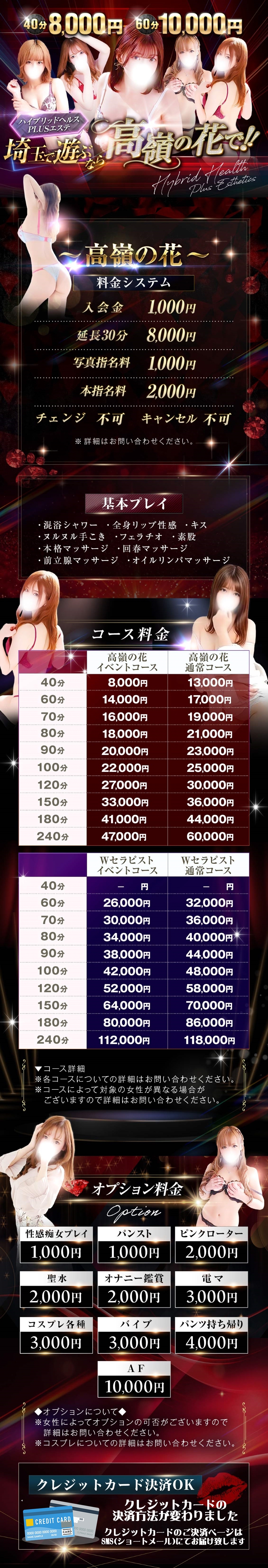ハイブリッドヘルスPLUSエステ高嶺の花＿料金システム1
