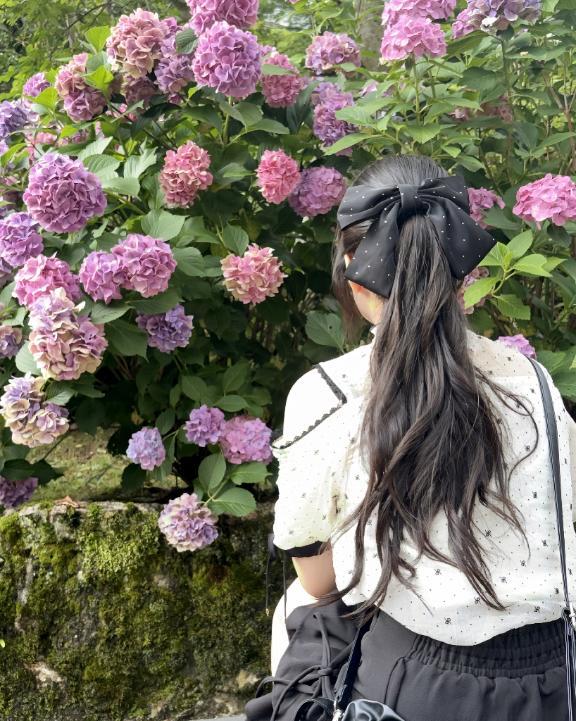 <img class="emojione" alt="🌸" title=":cherry_blossom:" src="https://fuzoku.jp/assets/img/emojione/1f338.png"/> 今日！と重要な<img class="emojione" alt="⚠️" title=":warning:" src="https://fuzoku.jp/assets/img/emojione/26a0.png"/>