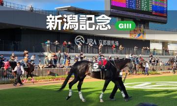 <img class="emojione" alt="🏇" title=":horse_racing:" src="https://fuzoku.jp/assets/img/emojione/1f3c7.png"/>新潟記念