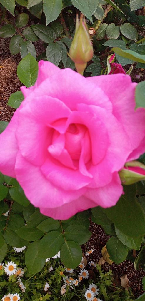 はなだよ<img class="emojione" alt="😀" title=":grinning:" src="https://fuzoku.jp/assets/img/emojione/1f600.png"/>