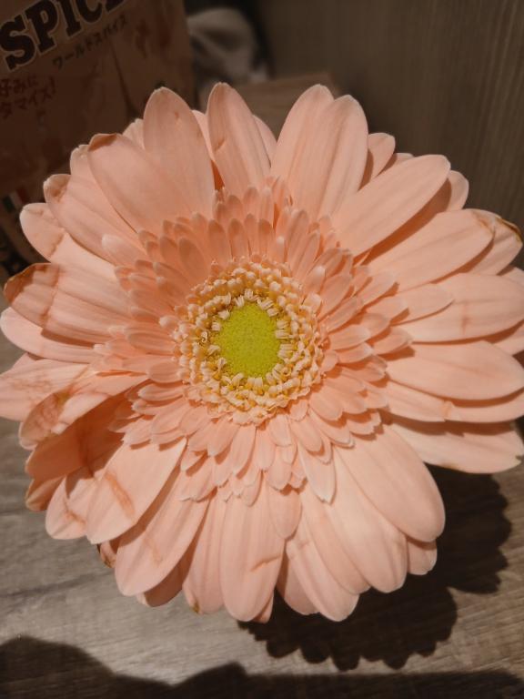 今日のお礼です